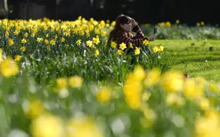 Spring Awakens: Sunshine, Longer Days, and Nature’s Revival | ITV News