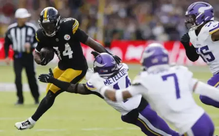 Top 11 Realistic Free Agent Targets for Minnesota Vikings