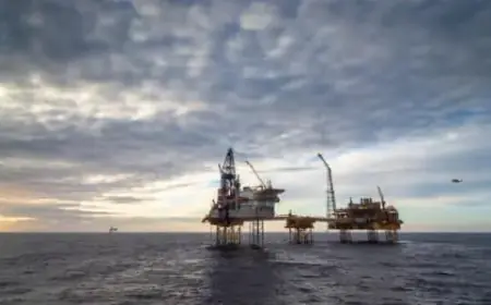 Octopus CEO Calls on UK to Harness North Sea Oil for Price Stability