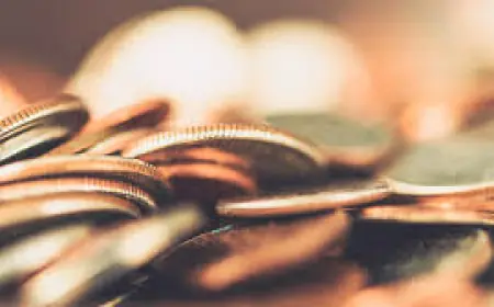 Mortgage Provider Searches Meet Mandatory On‑Site Verification Box