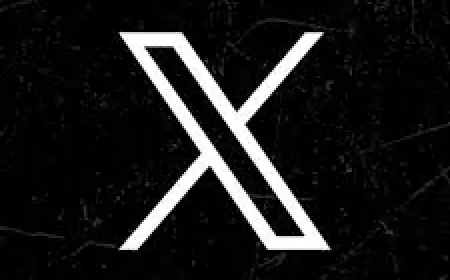 Dark Mode Twitter Setting Removed: What Users Lose and How the App Will Respond