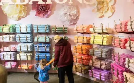 One Year Post-HBC Collapse: Revitalized Spaces Amid Surplus Vacant Stores