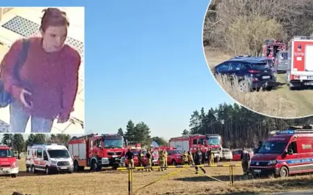 Actress Magdalena Majtyka Missing: Police Report Breakthrough in Case