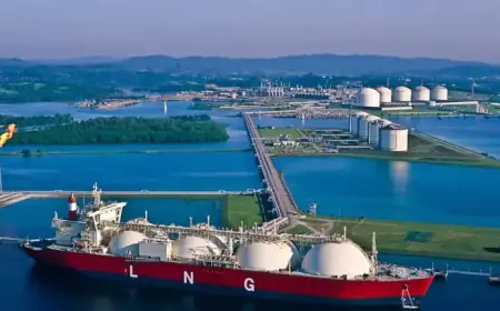 Top EU Countries Most Vulnerable to LNG Supply Disruption