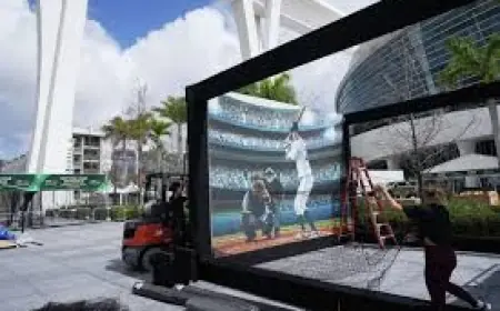 Venezuela Vs Paises Bajos figures in build-up as Venezuela eyes celebration at the Clásico Mundial