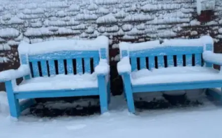 Upcoming Hicksville and Pier B Resort Blood Drives Encourage Donations