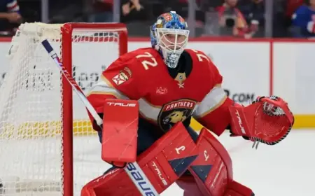 Leading Teams Expected to Sign Sergei Bobrovsky