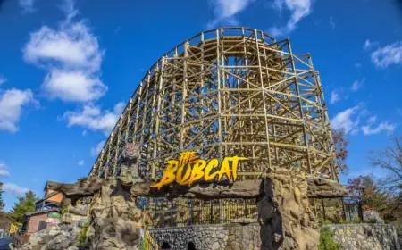 Six Flags Sells Seven Parks, Including One in Upstate New York