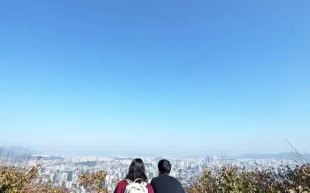 Clear Skies Forecast for Jeonbuk Weekend Amid Strong Wind Warnings