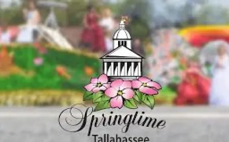 Shannon Bream named grand marshal for 2026 Springtime Tallahassee parade