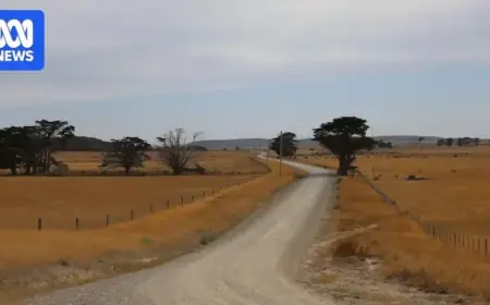 UK Forestry Investors Eye Purchase of Tasmania’s Largest Farm