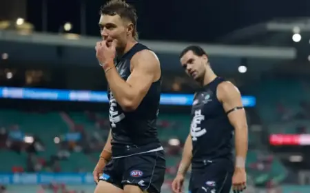 Blues Struggle Continues; Suns Strategize Petracca’s Role