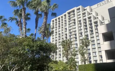 Luxury Backdrop: Carte Postale Deadline Approaches