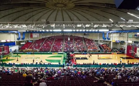 Coaches’ Roadmaps and Underdog Playbooks for the Wiaa Boys Basketball Tournament 2026