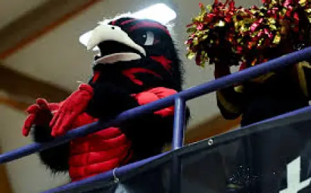 Osaa Boys Basketball: OSAA Releases Brackets and Streaming Schedule as Pleasant Hill, Creswell Set for Fourth-Place Game