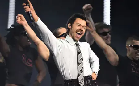 Harry Styles Explores Celebrity Relationship in New Album