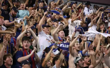 Your Weekend Guide: March 7, 2026