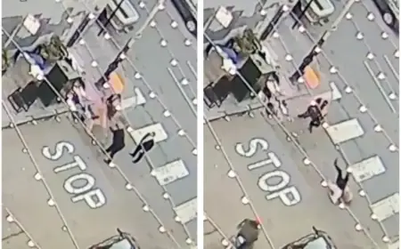 Mayor Lurie’s Security Pushes Man, Sparking Altercation in Video