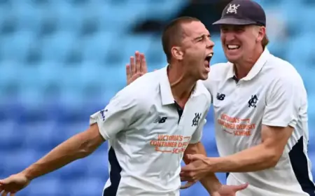 Tigers’ Shield Hopes Dashed by Tasmanian Collapse