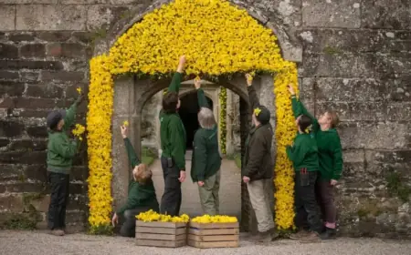 Tamar Valley Historic Home Blooms with Vibrant Yellow for Spring