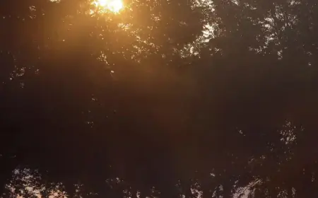 How Daylight Saving Time Affects Some People More Than Others