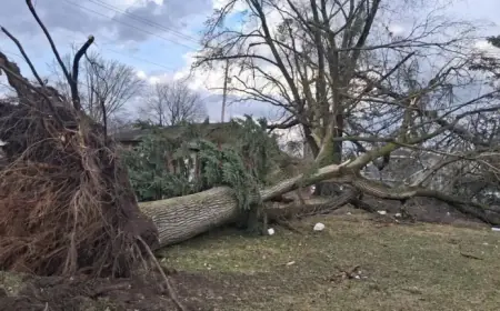 Severe Weather Triggers State Emergency Operations in Southwest Michigan