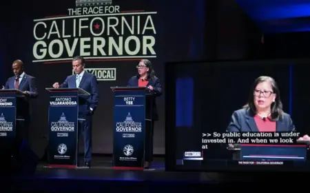 Ten Candidates Compete in California Governor Race