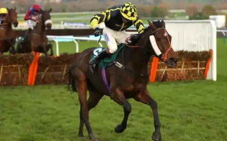 Amateur Jockey Sam Lee Passes Away at 27