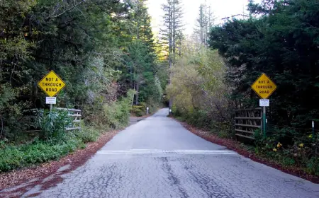 Leaked 2023 Bohemian Club roster names A‑list celebrities and local wine, banking figures