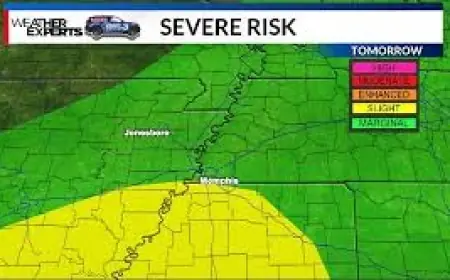 Memphis Weather Outlook Unclear as Local Site Blocks Access with Browser Message