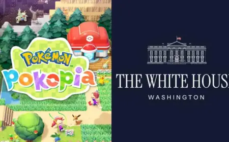 The Pokémon Company Denies Involvement in White House Pokopia Meme