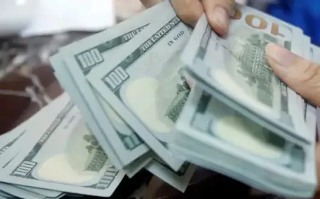 US Private Credit Defaults Reach Record 9.2% in 2025, Fitch Reports