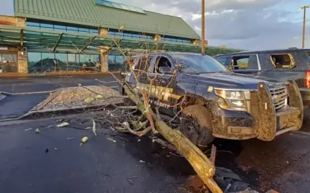 Tornadoes Devastate Rural Michigan: 4 Dead, Over a Dozen Injured
