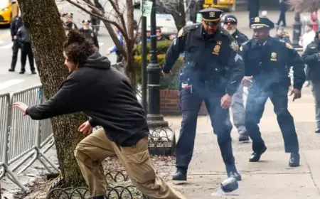 Two Arrested After Suspicious Devices Found Near Gracie Mansion During Protest
