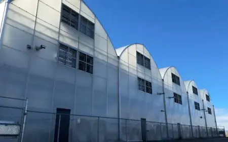 Claresholm Cannabis Farm Transforms into Gourmet Mushroom and Produce Hub