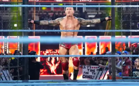 Wrestling Observer Newsletter Reveals Elimination Chamber Ratings