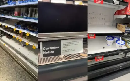 Greek Yogurt Shortage Hits Australian Supermarkets: Uncover the Causes