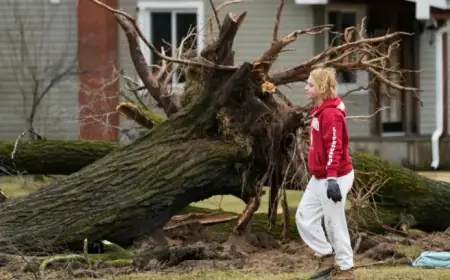 Tornadoes Devastate Michigan and Oklahoma, Leaving Six Dead: NPR