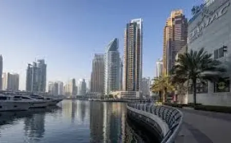 UAE Weighs Asset Freezes and Military Options as Iran War Uae Escalates