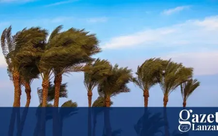 Tenerife Weather: Yellow Sea Warning Confirmed as Local Activity Suspensions Continue