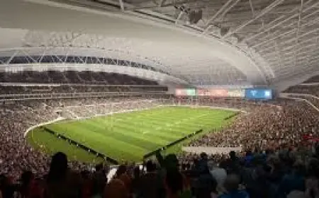 Business Leaders Push Accor Stadium Roof After Secret Vegas-Style Case