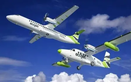 Planned Ecojet Airlines flights grounded, staff protections set as company enters liquidation