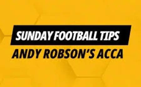 Fulham Vs Southampton Predictions See Sutton Back Fulham to Advance