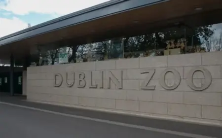 Mothers Get Free Entry While James Patrice Dublin Zoo Ad Sparks Backlash