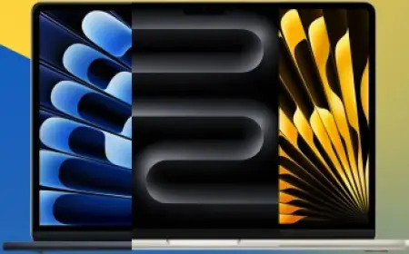 Happy Women’s Day 2026 marked by Google Doodle as programs vary by region