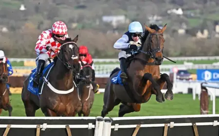 Paddy Power focus meets Cheltenham tips headlines; market influence unresolved