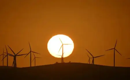 Halt on Green Investments Slows Progress Toward Renewable Energy Goal