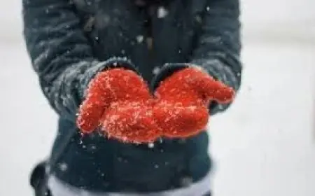 Rain Persists in Weather Vancouver, Evening Downpours Shift Plans for Outdoors