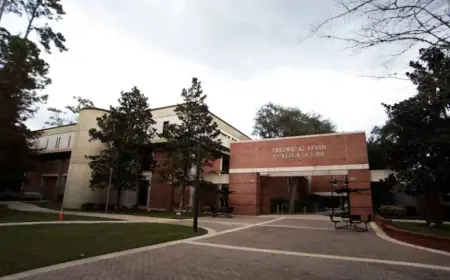 Gators Drop Series: Uf Baseball Faces Pressure After Loss to High Point