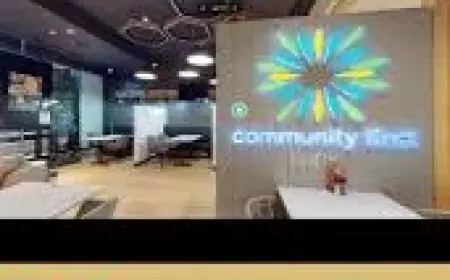 Families See Their Histories Highlighted by National Library Wedding Veil Display